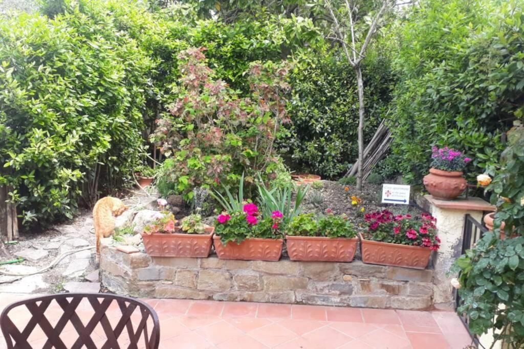 Cozy Apartment At The Gates Of Florence Tavarnuzze Εξωτερικό φωτογραφία